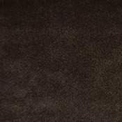 119.jpg